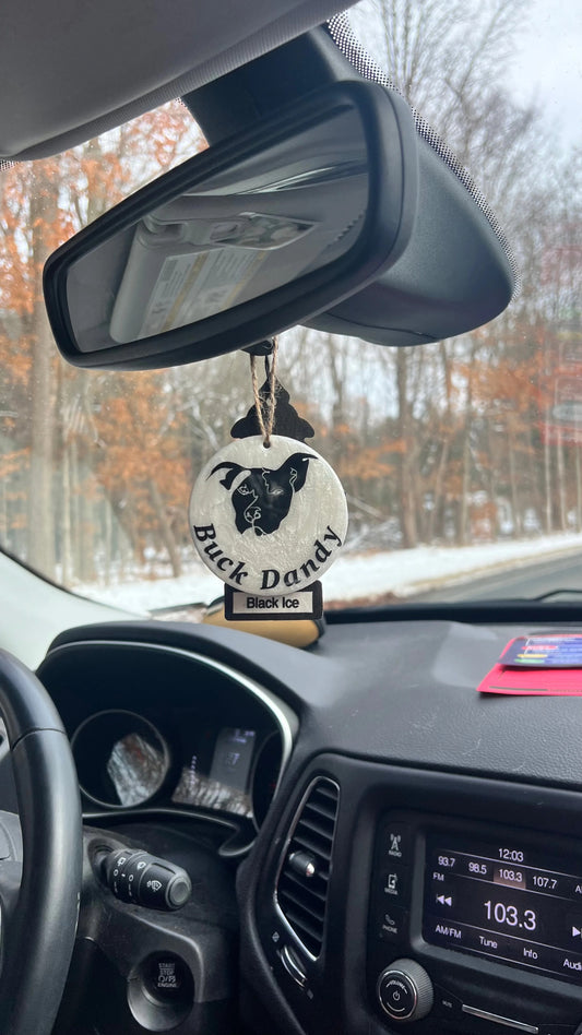 Car Ornament